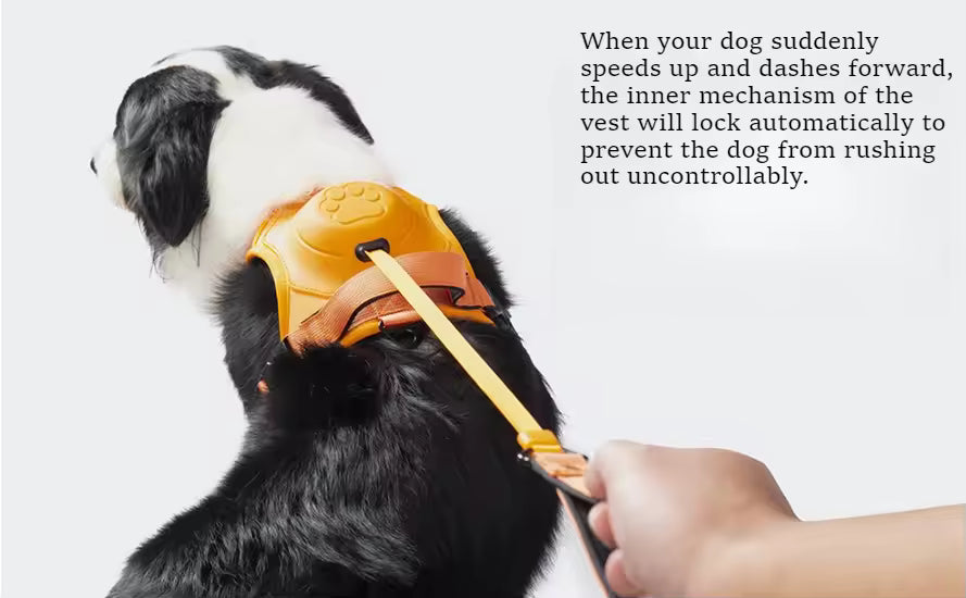 No-Pull Dog Harness with Retractable Leash – Anti-Escape Vest