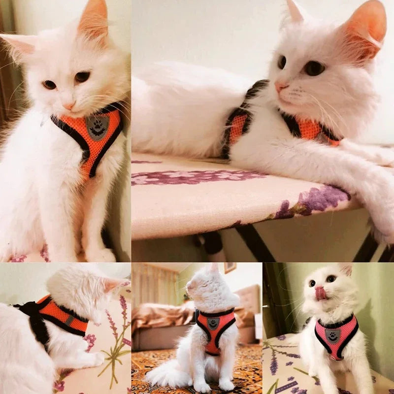 Adjustable Mesh Cat & Dog Harness Vest with Leash – Escape-Proof