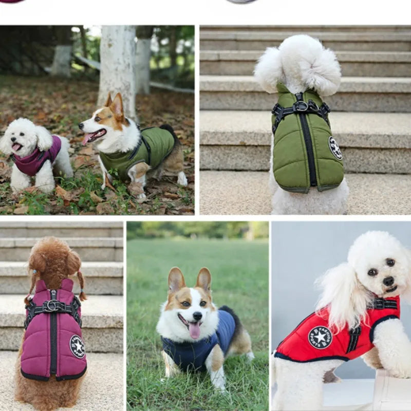 Winter Dog Jacket with Built-In Harness Ring – Waterproof Vest