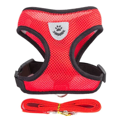 Adjustable Mesh Cat & Dog Harness Vest with Leash – Escape-Proof
