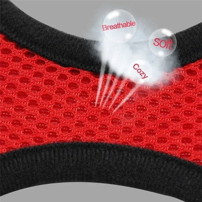 Adjustable Mesh Cat & Dog Harness Vest with Leash – Escape-Proof