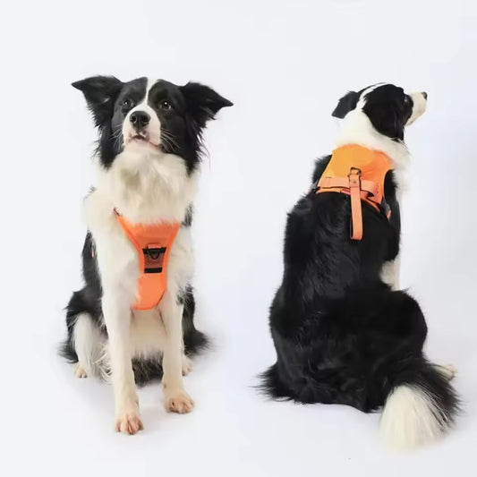 No-Pull Dog Harness with Retractable Leash – Anti-Escape Vest