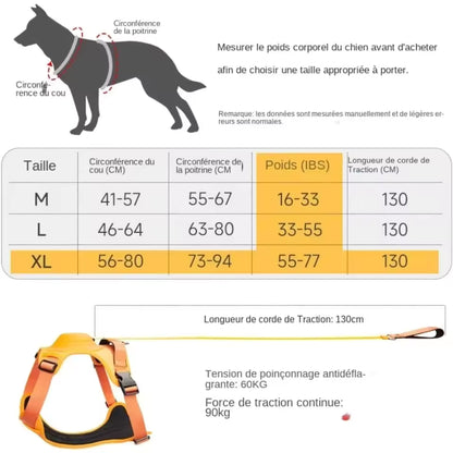 No-Pull Dog Harness with Retractable Leash – Anti-Escape Vest