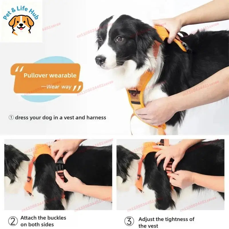 No-Pull Dog Harness with Retractable Leash – Anti-Escape Vest