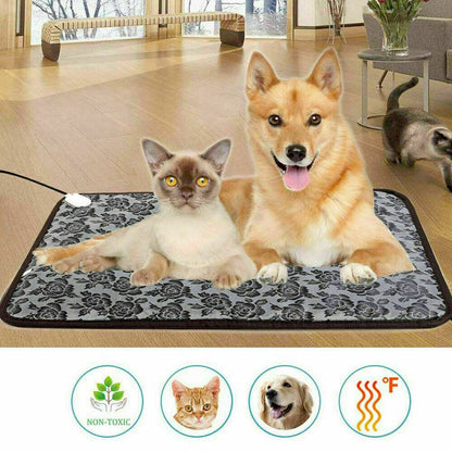 Adjustable Cat Harness & Leash Set — Reflective, Escape - Proof & Breathable - LOLO'S SHOP