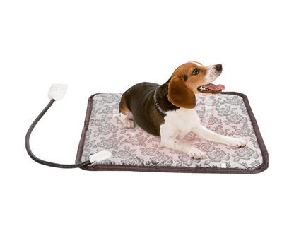 Adjustable Cat Harness & Leash Set — Reflective, Escape - Proof & Breathable - LOLO'S SHOP