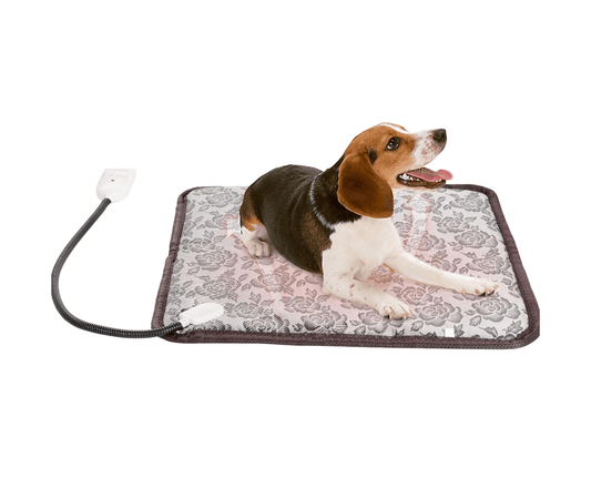 Adjustable Cat Harness & Leash Set — Reflective, Escape - Proof & Breathable - LOLO'S SHOP