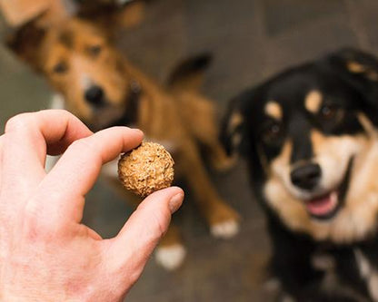 Beer Paws Peanut Butter Dog Biscuits — High - Protein, Made in America - LOLO'S SHOP