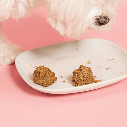 Beer Paws Peanut Butter Dog Biscuits — High - Protein, Made in America - LOLO'S SHOP