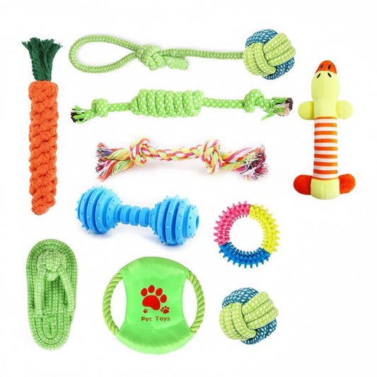 Bite - Resistant molar Dog Toys - 10 pcs - LOLO'S SHOP