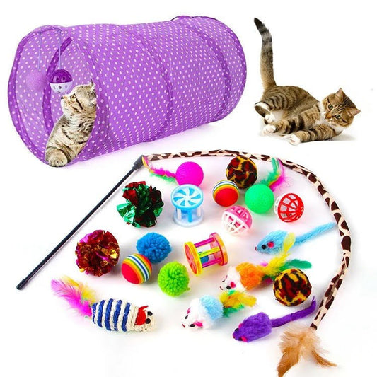 Cat Toys 21 - Piece Assorted Set — Hours of Play for Indoor Cats - LOLO'S SHOP
