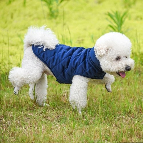 Dogs Winter Warm Vest - LOLO'S SHOP