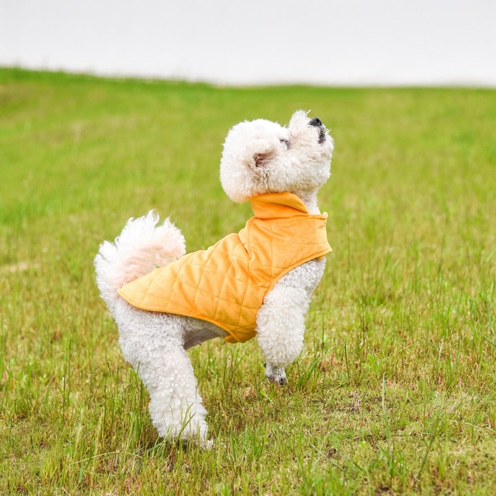 Dogs Winter Warm Vest - LOLO'S SHOP