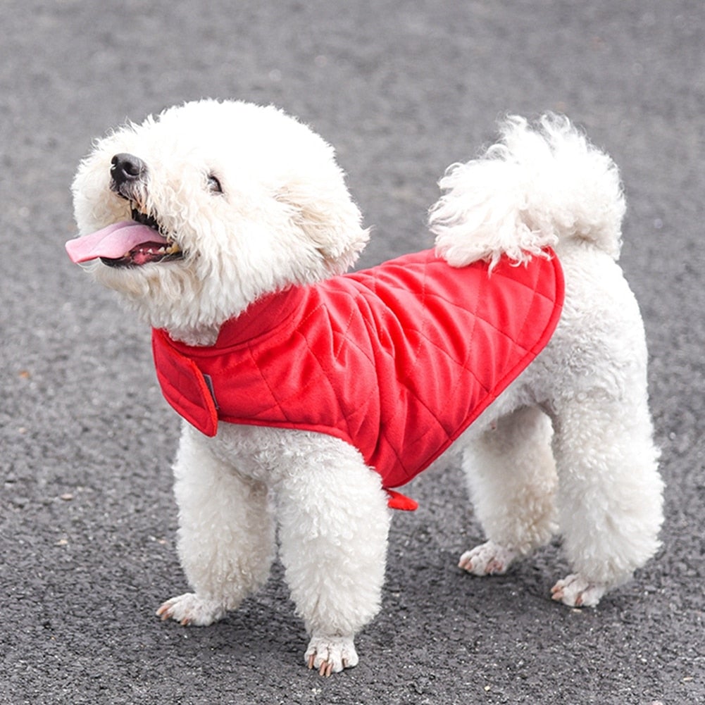 Dogs Winter Warm Vest - LOLO'S SHOP
