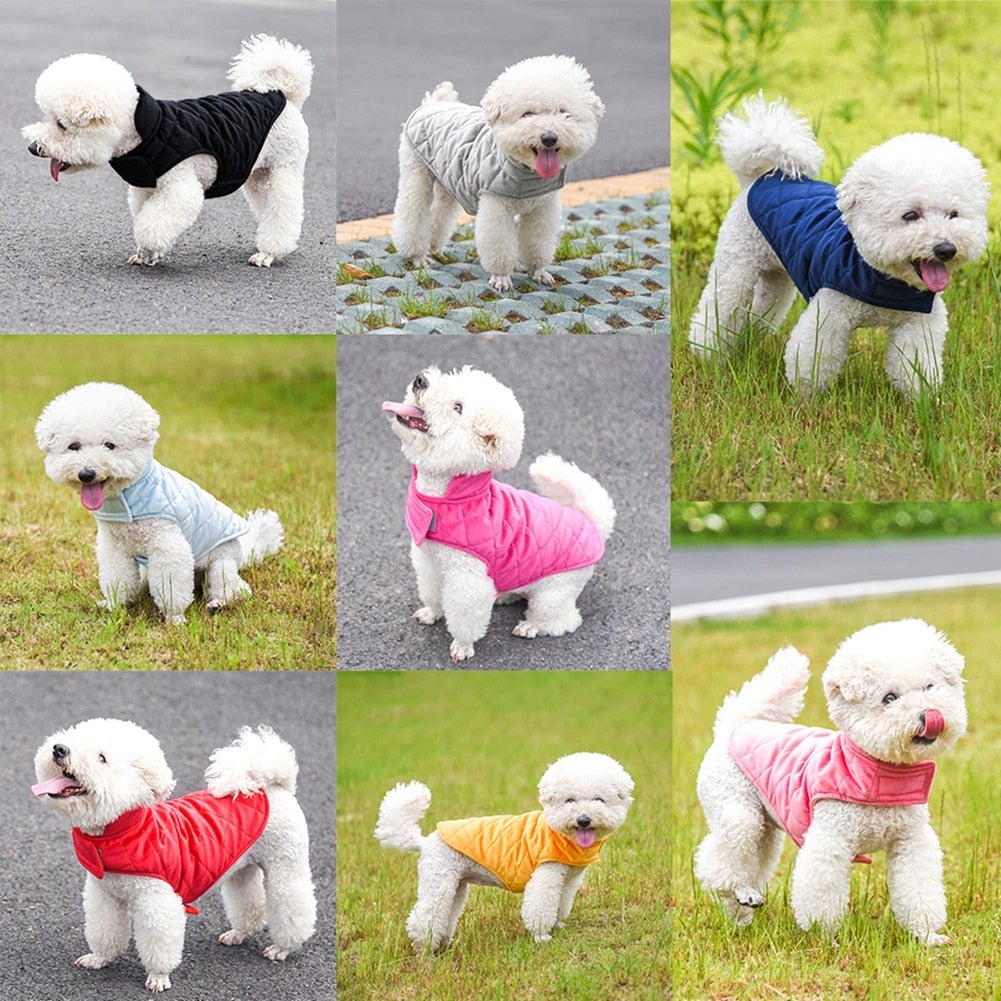 Dogs Winter Warm Vest - LOLO'S SHOP