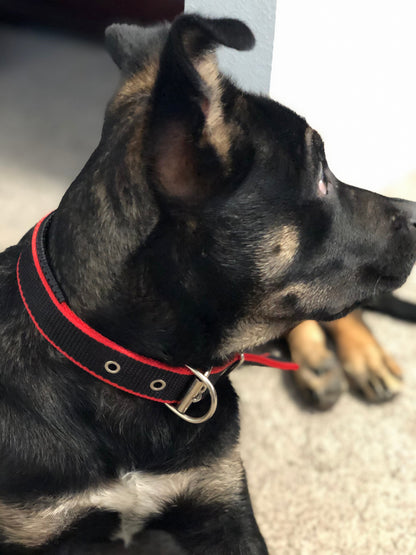 Durable Dog Collar - Red/Black - LOLO'S SHOP