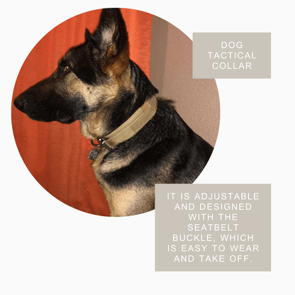 Durable Military Tactical Dog Collar — Heavy - Duty Control for Active Dogs - LOLO'S SHOP