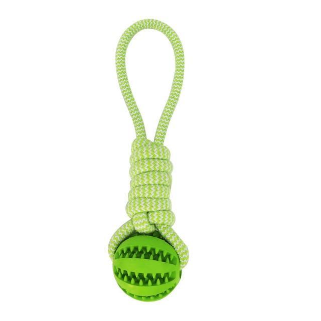 Durable Rubber Ball Chew Toy with Cotton Rope - LOLO'S SHOP