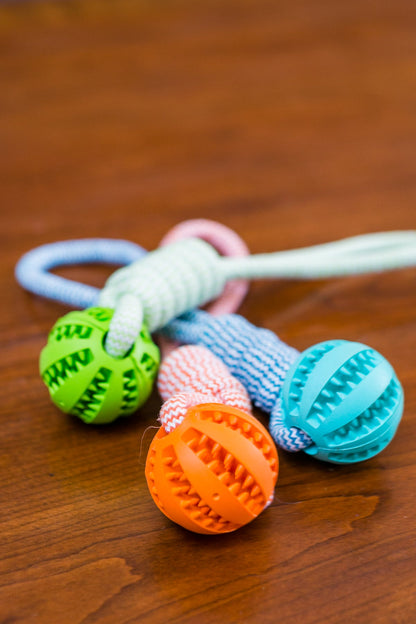 Durable Rubber Ball Chew Toy with Cotton Rope - LOLO'S SHOP