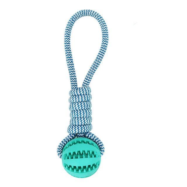 Durable Rubber Ball Chew Toy with Cotton Rope - LOLO'S SHOP