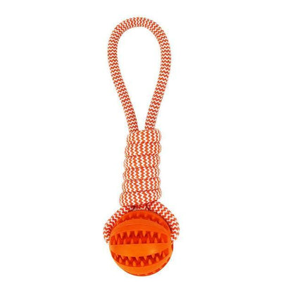 Durable Rubber Ball Chew Toy with Cotton Rope - LOLO'S SHOP