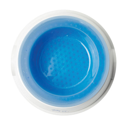GF Pet Ice Bowl — Keeps Your Pet's Water Cold for Hours - LOLO'S SHOP