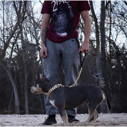 Kilo Cuban Link Gold Dog Leash — 14K Gold - Plated Luxury Streetwear - LOLO'S SHOP