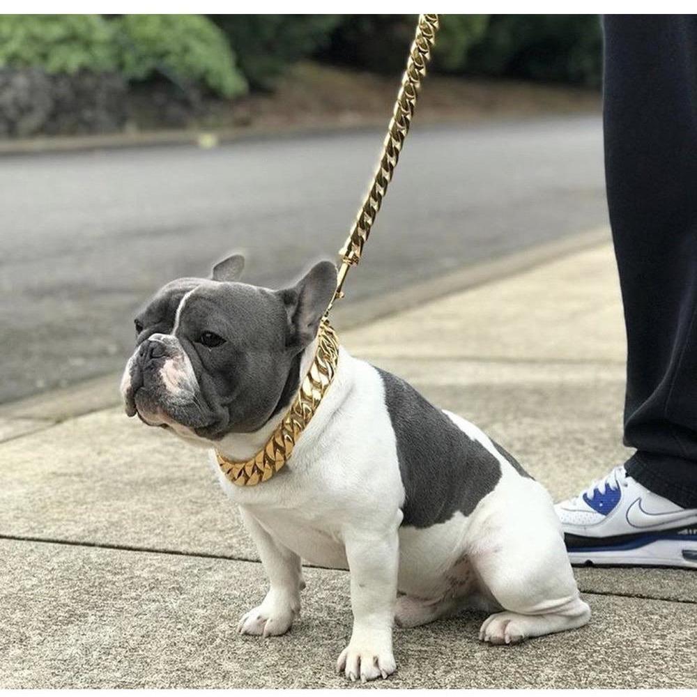 Kilo Cuban Link Gold Dog Leash — 14K Gold - Plated Luxury Streetwear - LOLO'S SHOP