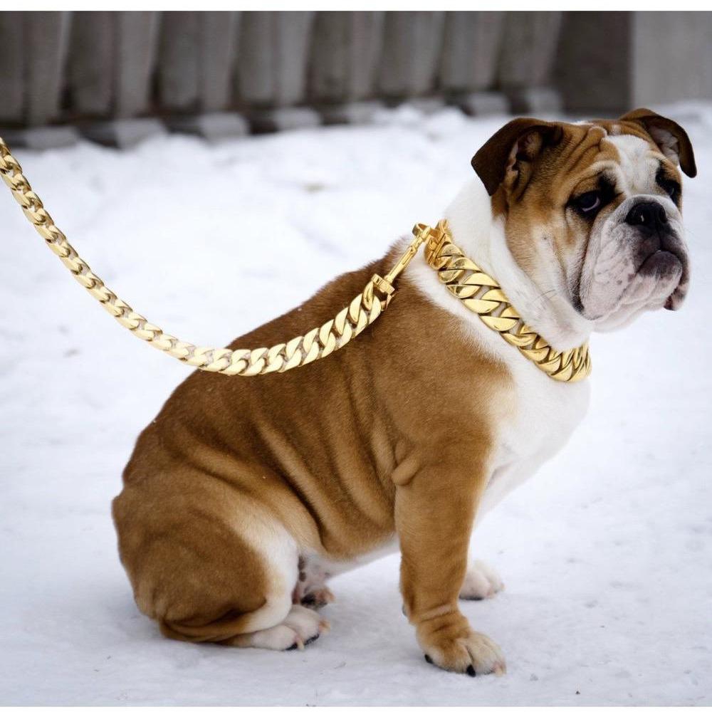 Kilo Cuban Link Gold Dog Leash — 14K Gold - Plated Luxury Streetwear - LOLO'S SHOP