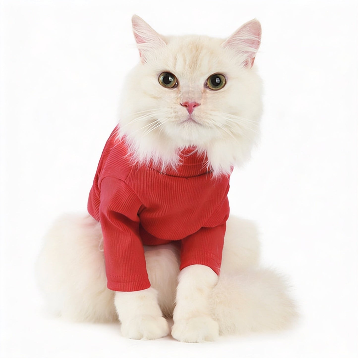 Label Turtleneck Pet Sweater — Soft, Stylish Daily Wear for Dogs & Cats - LOLO'S SHOP