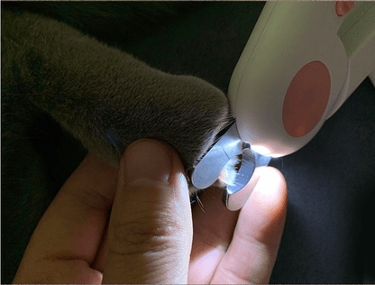 LED Pet Nail Clipper — See the Quick, Trim with Confidence - LOLO'S SHOP