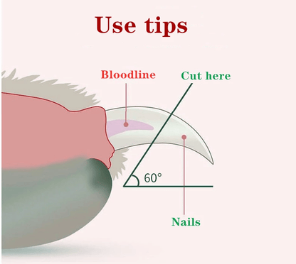 LED Pet Nail Clipper — See the Quick, Trim with Confidence - LOLO'S SHOP