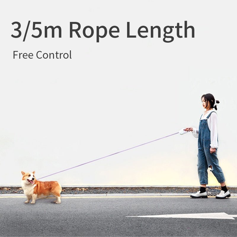 Night Walk LED Retractable Dog Leash — See Your Dog in the Dark - LOLO'S SHOP