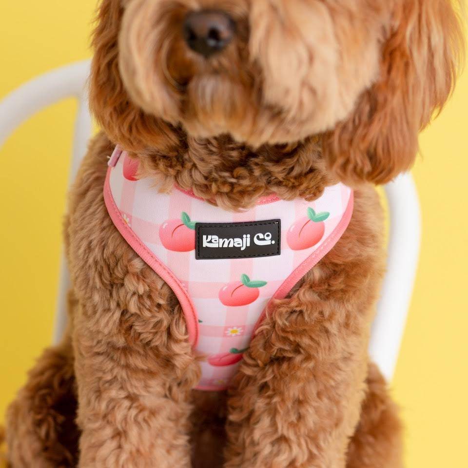 Precious Peach Adjustable Dog Harness — Floral Style, No - Pull Comfort - LOLO'S SHOP