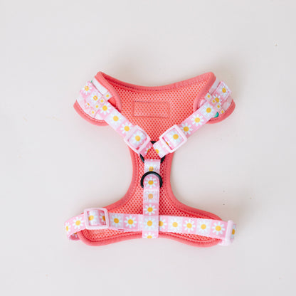 Precious Peach Adjustable Dog Harness — Floral Style, No - Pull Comfort - LOLO'S SHOP