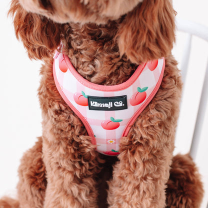 Precious Peach Adjustable Dog Harness — Floral Style, No - Pull Comfort - LOLO'S SHOP