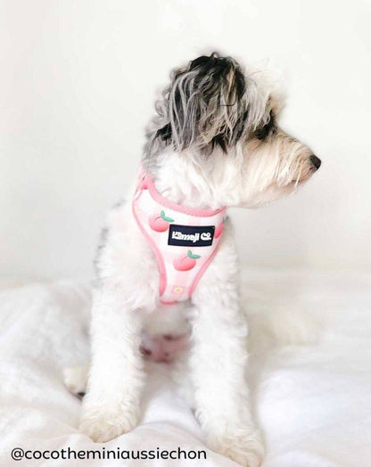 Precious Peach Adjustable Dog Harness — Floral Style, No - Pull Comfort - LOLO'S SHOP