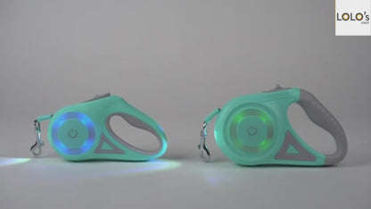Trendy Night Walk LED Retractable Dog Leash — See Your Dog in the Dark