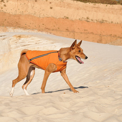 Sustainable Eco - Friendly Dog Vest — Waterproof, Windproof, 80% Recycled - LOLO'S SHOP