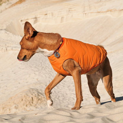 Sustainable Eco - Friendly Dog Vest — Waterproof, Windproof, 80% Recycled - LOLO'S SHOP