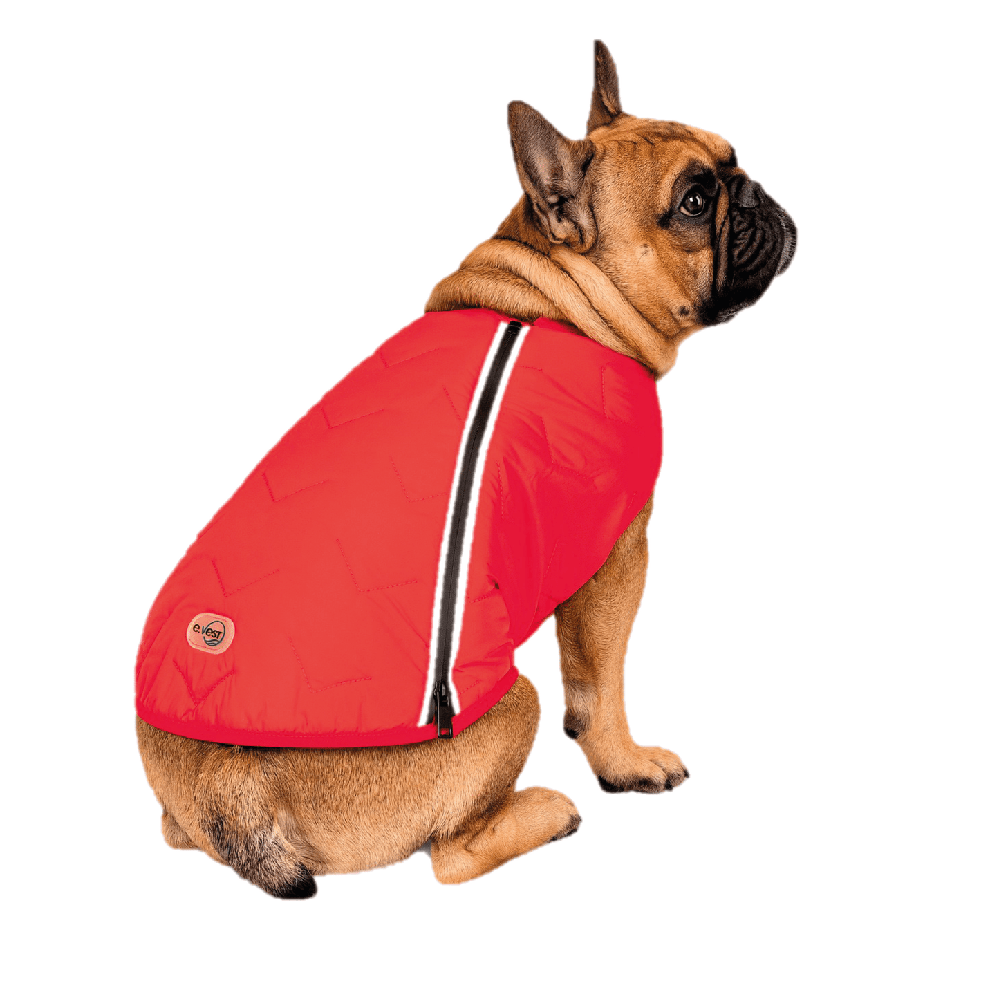 Sustainable Eco - Friendly Dog Vest — Waterproof, Windproof, 80% Recycled - LOLO'S SHOP