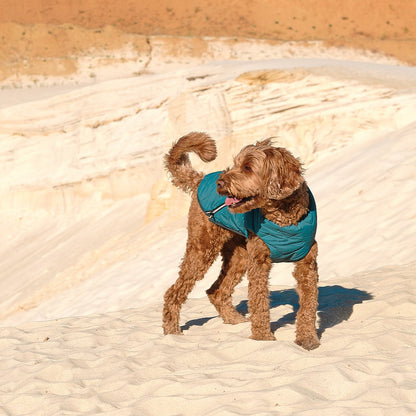 Sustainable Eco - Friendly Dog Vest — Waterproof, Windproof, 80% Recycled - LOLO'S SHOP