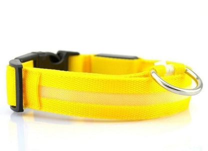 USB Rechargeable LED Dog Collar — Stay Visible on Every Night Walk - LOLO'S SHOP