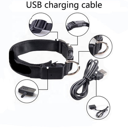 USB Rechargeable LED Dog Collar — Stay Visible on Every Night Walk - LOLO'S SHOP